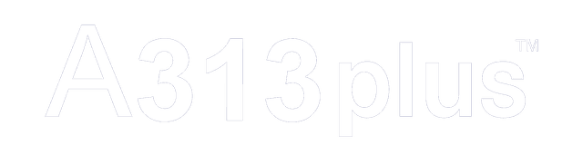 A313 Plus logo image